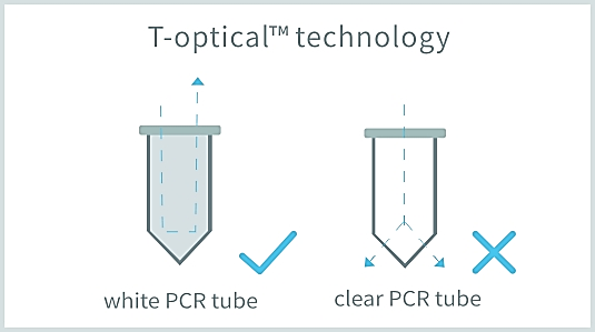 rt-pcr-2.png